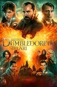 Fantastik Canavarlar: Dumbledore’un Sırları