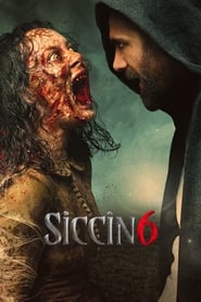 Siccin 6